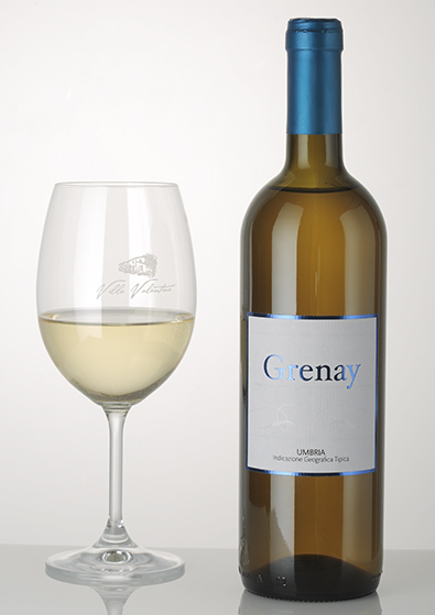 Vino Bianco Grenay Vino Bianco Umbria IGT. Cantina Petreto Azienda Agraria Villa Valentina Umbertide Umbria
